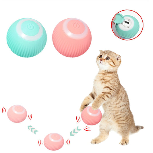 Cat Rechargeable Ball