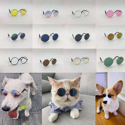 Glasses for Cats and Dogs